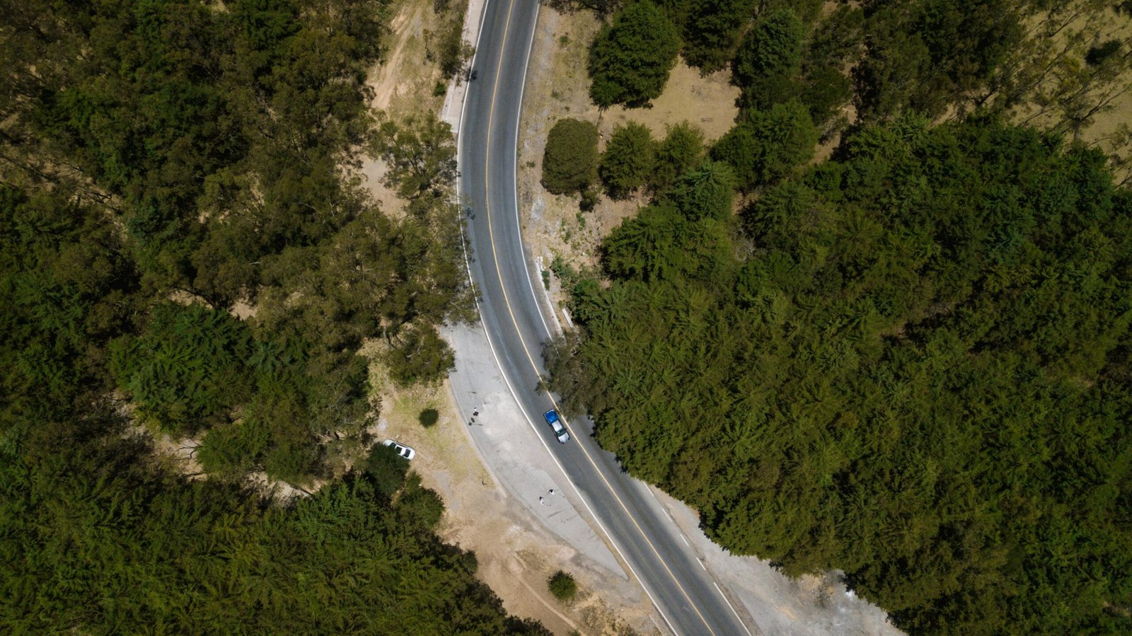 Drone shot of a winding road cutting through lush greenery in San Luis Potosí, Mexico.